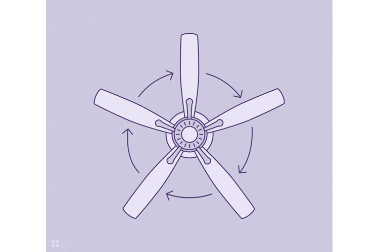 Which Way Should the Ceiling Fan Spin? The Best Ceiling Fan Direction
